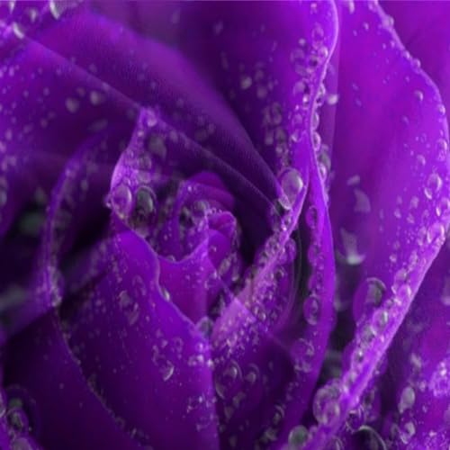 Housse de couette violette en microfibre avec fermeture éclair