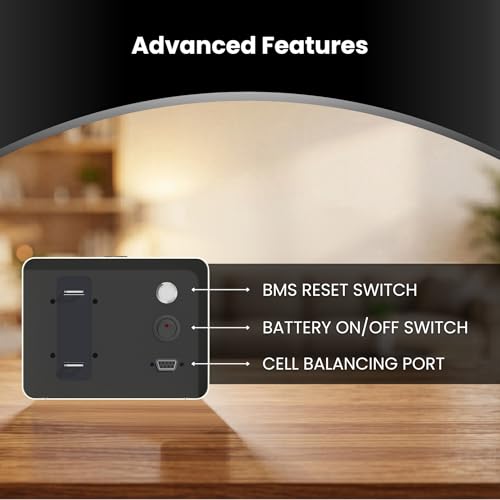 Image of Lithium Battery LFP100 12.8V 100Ah LiFePO4 for Inverter, Solar & Backup Power | Lightweight | Maintenance-Free | Long Life 5-Year Warranty