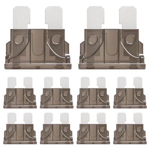 ALLECIN 50Pcs 2A Standard Car Fuses 2Amp Automotive Blade Fuse 2Ampere Auto Fusibles for RV Truck Motorcycle