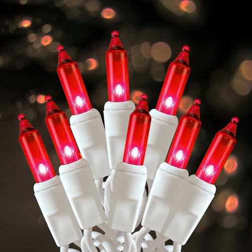HISHINY Christmas Lights 100 Count Red Christmas Tree String Lights with White Wire for Outdoor Indoor Christmas Decorations Wedding Decorations Valentines Day Decor UL Certified (21feet)