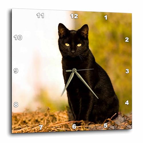 3dRose Black Cat 13x13 Wall Clock