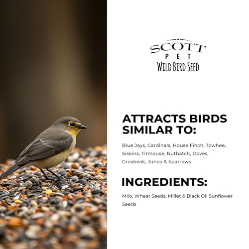 Scott Pet Wild Bird Seed, Deluxe Blend, 11 lbs Bag, No Dust, No Corn Mix, Feed, Great for All Feeder Types, Food for Outside Wild Birds - Thumbnail 5