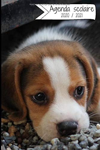 Télécharger AGENDA SCOLAIRE 2020 - 2021: Agenda semainier (Septembre 2020/Septembre 2021) | Agenda Ado Garçon F PDF