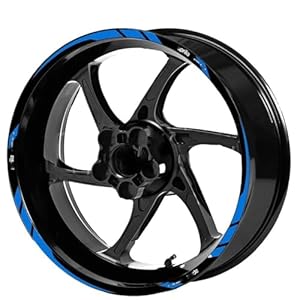41caogey2dl. sl500 . ss300