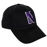 Desert Cactus Northwestern University Baseball Hat NU Wildcats Brimmed Embroidered Hats Cap Adjustable Cloth Strap Adult (Style C) Black