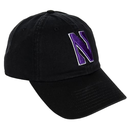 Desert Cactus Northwestern University Baseball Hat NU Wildcats Brimmed Embroidered Hats Cap Adjustable Cloth Strap Adult (Style C) Black