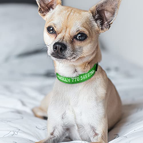 Collare Per Cani Riflettente Personalizzato Con Nome Ricamato Numero Di Telefono Collare Nylon Regolabile Per Cani Di Taglia Grande Media Piccola - Foto 9