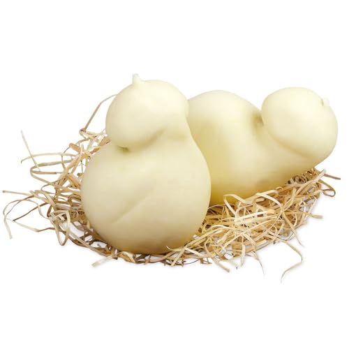 Amanti taste and passion Camorza de leche de Buafala | Lácteos Mail | Queso Fresco | 4 unidades de 250 g | 1 kg | Battipaglia | Campania