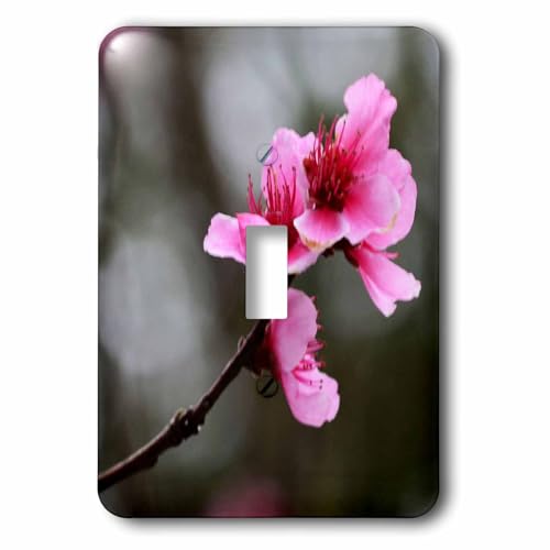 Interrupteur fleur de cerisier rose pour embellir un mur blanc et triste