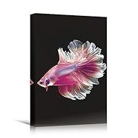 SIGNWIN Canvas Wall Art Artistique Poisson Fighting Fish with Bright Red and Blue Fins Marine Life Ocean Modern Art Nautical Closeup Colorful for Living Room, Bedroom, Office - 12x18 inches