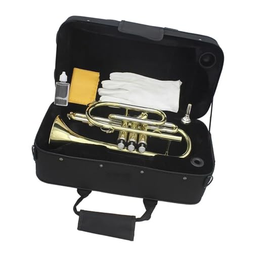 gybg vtFbViBtbgRlbgAbL^JA}EXs[XA܁AN[jONXA|[^uobOȂ̃ANZT[t