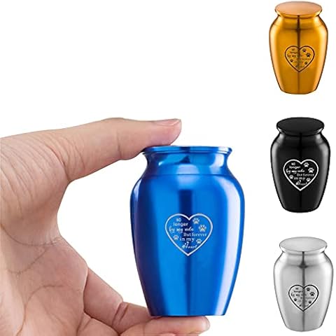 PREKIAR Small Urns Keepsake for Ashes Funeral Cremation Small Boxes for Human Pets Ashes Stainless Steel Memorial Ashes Holder (Blue -Pets) Cover