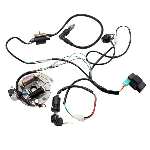 Image of PRO BAT Lifan Stator Kick Electrics Wire Harness Kit Complete Electrics Wire Harness CDI Coil Magneto for 50cc 70cc 90cc 110cc 125cc 140cc Pit Dirt Bike ATV SSR Coolster Purple