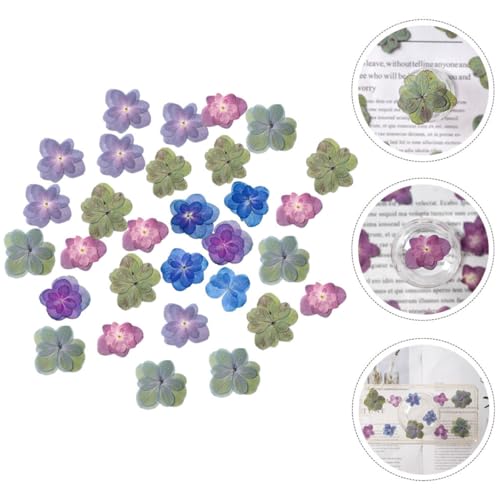 30 flores secas prensadas para manualidades DIY miniatura 3