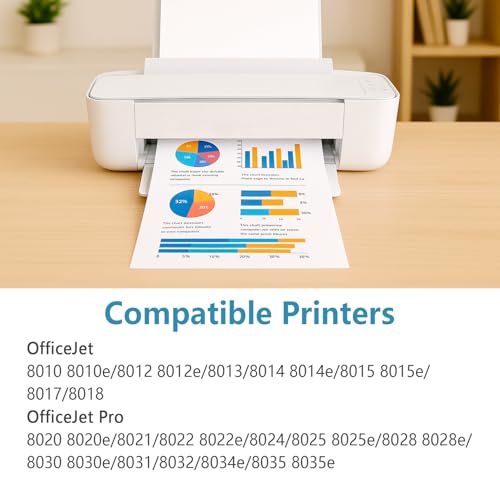 910XL Ink Cartridges Black Replacement for HP 910 XL Compatible for HP910 HP910XL to use with OfficeJet Pro 8020 8025 8028 8030 8035 8010 8015 8018 8022 Printers with V15.4.1 Chip (Black, 2 Packs)