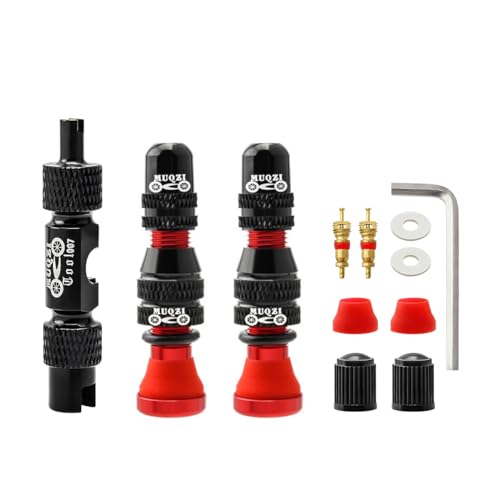 Válvulas tubeless Schrader de 60mm en aleación ligera con extractor de núcleo