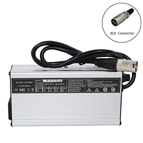 Best Battery Charger 12s