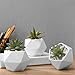 Set of 3 White Ceramic Succulent Plant Pots/Geometric Design Miniature Indoor Planters, 3 Inches