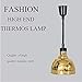 ENWINDXS Heat Lamp Warmer Single Lamp Warranty Food Heating Lights Tanding Type Hanga All-You-can-eat Restaurant Such as Bronze for Home use(Bronze)
