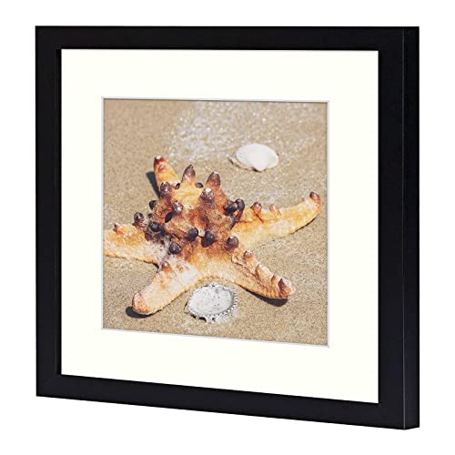 Golden State Art, 12X12 Frame With Mat, Displays 8X8 Square Picture Or 12X12 Gallery Wall Frame For 30X30 Cm Diamond Paintings Prints Photos (Black, 1-Pack, Plexiglass) #TOP1