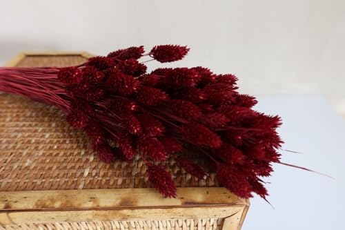 Welcome Logo Flores 3 Tallos Pasto Seco Arándano Rojo miniatura 5