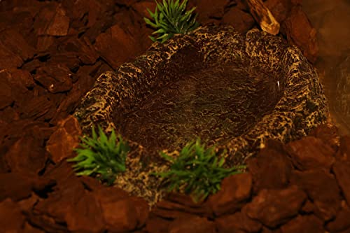 AQUA KT Amphibian Reptile Snake Worm Dish Water Food Bowl for Lizard Turtle Bearded Dragon Tank Accessory Terrarium… - Image 3