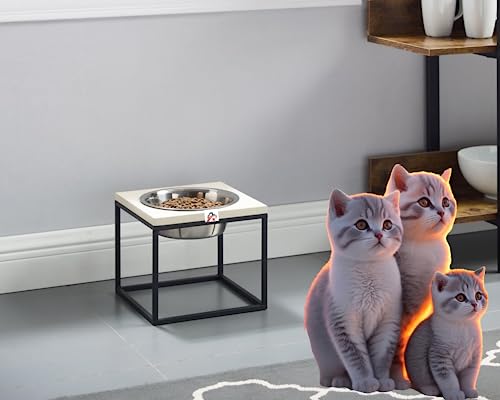 Sabri shopee Elevated Iron Cat Feeder Stand with Dual Stainless Steel Bowls Easy to Clean Feeding Station Ideal for All Cat Sizes Promotes Healthy Digestion and Comfort Stylish and Sturdy Design (B09C42PM7B) Amazon Price History, Amazon Price Tracker