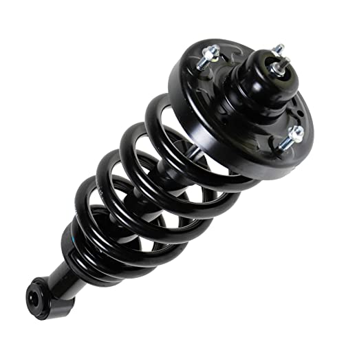 Image of TRQ Rear Strut and Spring Assembly Set