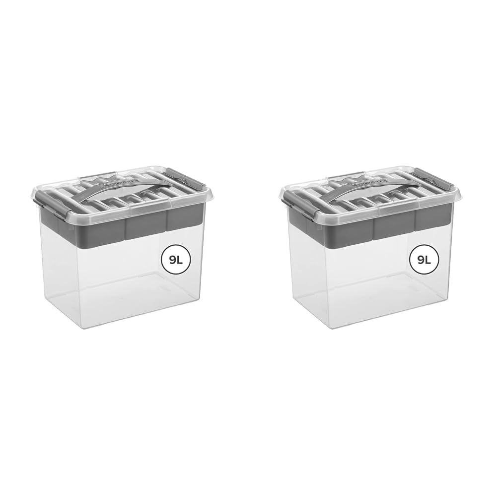 Boite de rangement plastique transparent avec couvercle clipsable et bac amovible