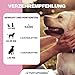 PetPro PHARMA - Probiotic Pro – Verdauungsgesundheit & Immunstärkung für Hunde & Katzen – Mit Probiotika, Präbiotika & Verdauungsenzymen – Ergänzungsfutter,120 Kautabletten, 360 g.