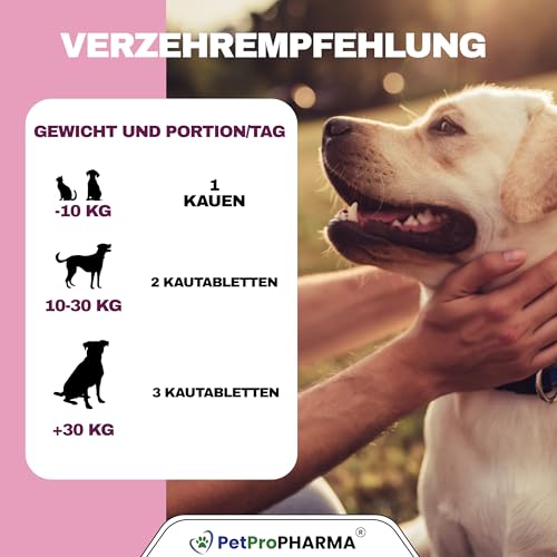 PetPro PHARMA - Probiotic Pro – Verdauungsgesundheit & Immunstärkung für Hunde & Katzen – Mit Probiotika, Präbiotika & Verdauungsenzymen – Ergänzungsfutter,120 Kautabletten, 360 g.