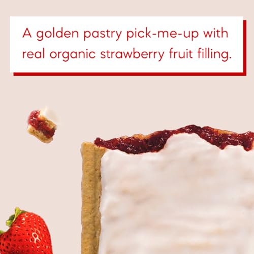 Image of Nature's Path Organic Berry Strawberry Toaster Pastries, 11 oz (Pack of 12)