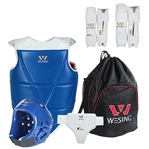Buy Wesing WTF Approved Taekwondo Protective Gear Set Taekwondo Training Equipment Online at Low