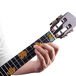 SheIRin Tous Les matériaux en épicéa et Palissandre Ukulélé de Concert en Acajou 26 Pouces Kit de démarrage pour… – Image 4