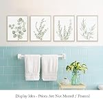 Howwii Botanical Boho Bathroom Decor Wall Art Prints, UNFRAMED Sage Green Plants Decor for Bedroom|Office, Minimalist Eucalyptus Leaves Watercolor Art Prints, Set of 4 Pictures, 8"x10" No Frames