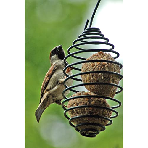 dobar® Meisenknödelhalter - Futterspirale für Meisenknödel - Vogelfutterspender aus Metall - Futtersäule für Wildvögel für Garten/Terrasse/Balkon - Ø 7,5 x 11 (26,5) cm - Grün