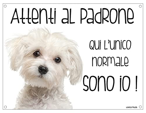 MALTESE Attenti al padrone qui l'unico normale sono io! CANE CARTELLO TARGA IN METALLO (20X30)