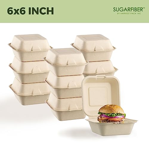 Harvest Pack Gourmet Showcase [50 Count] Sugarfiber 6 X 6 Compostable Square Hinged Container, Single Compartment Clamshell Takeout Box, Made From Eco-Friendly Plant Fibers #TOP5
