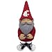 Washington State Garden Gnome