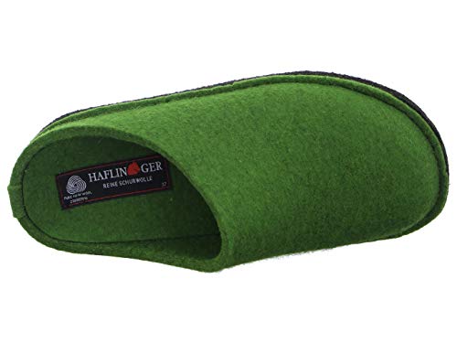 Haflinger