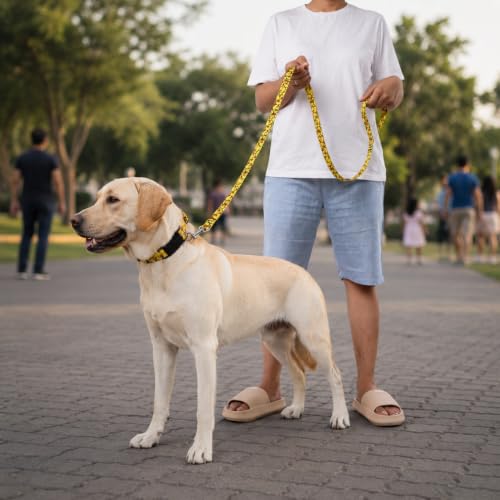 Image of Wooflix Heavy Duty Nylon Dog Leash | Anti Slip Padded Handle Long Dog Leash | Highly Reflective Leash for Dogs | Dog Rope for Medium & Large Dogs | Dog Training Leash | (Yellow Duck, 10 Feet Long)