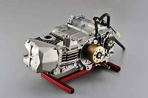 DAYTONA - Anima Engine 190cc Motorcycle ATV Dirt Bike Minimoto Pit Bike Racing