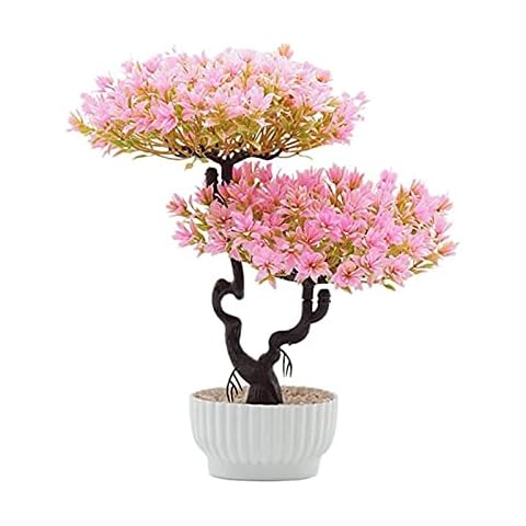 Planta Bonsai Pino Plástico Cover