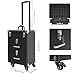 Large Capacity Rolling Cosmetic Case, Travel Trolley Case Mobile Storage Box, Multifunctional Makeup Train Case, Portable Tool Organizer with Lock and Universal Wheels for Beauty Salon Nail (Black)