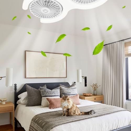 Luz de ventilador de techo E27 con iluminación integrada 2