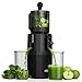 WETIE Extracteur de Jus de Fruits et Légumes Entiers, Extracteurs lents avec Goulotte XXL 120mm, sans BPA, 99% de Rendement, Facile à Nettoyer et à installer, (Inclut 2 Récipients à Jus)