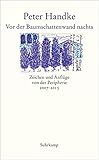  Vor der Baumschattenwand nachts: Zeichen und Anflüge von der Peripherie 2007-2015 (suhrkamp taschenbuch)