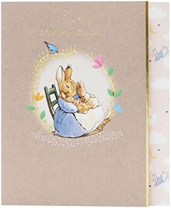 New Baby Congrats Card - Peter Rabbit New Baby Congrats Card - Peter Rabbit Birth Congrats Card - Cute New Baby Greeting Card - Baby Boy Card - Baby Girl Card, Multi (723635-0-1)