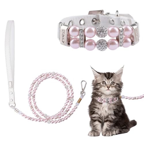 HACRAHO p[p[hƎցAELpp[փ[hZbgA߉\ȌpU[ցACXg[tA^ELEqpXSisNj