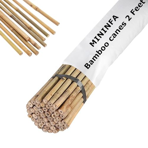 Mininfa Natürliche Bambusstäbe 60CM,50 Stück ，Umweltfreundliche Bambusstange, Bambusstangen, Pflanzenstäbe für Tomaten, Bäume, Bohnen,